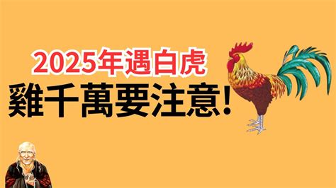 1969年屬雞|生肖雞: 性格，愛情，2024運勢，生肖1993，2005，2017